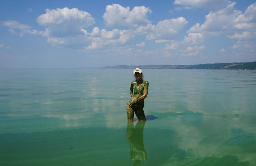 In green algae