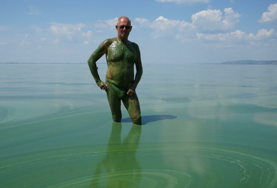 In green algae