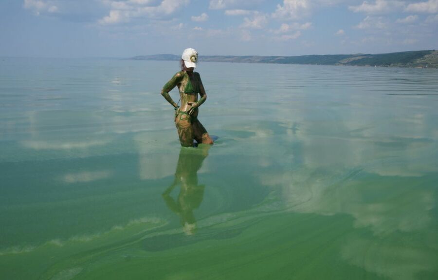 In green algae