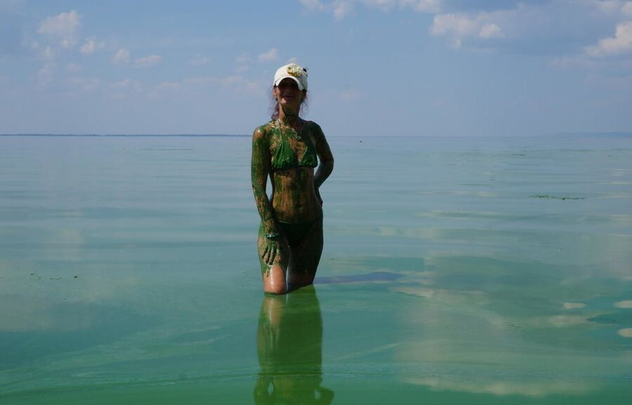In green algae