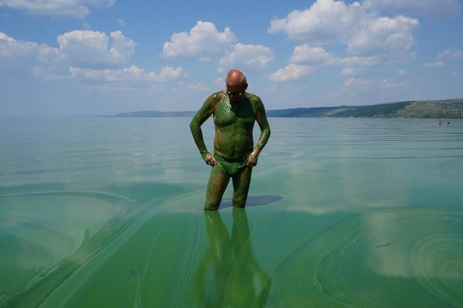 In green algae