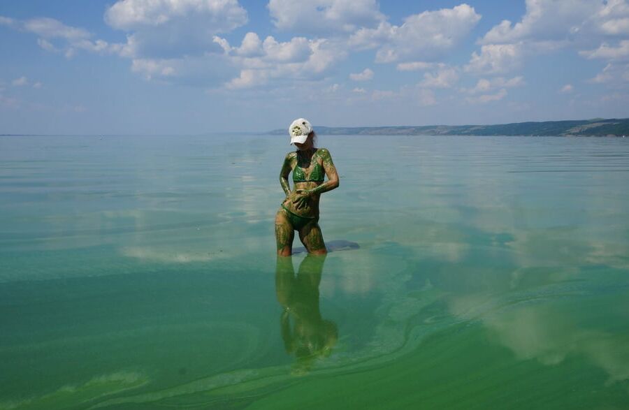 In green algae