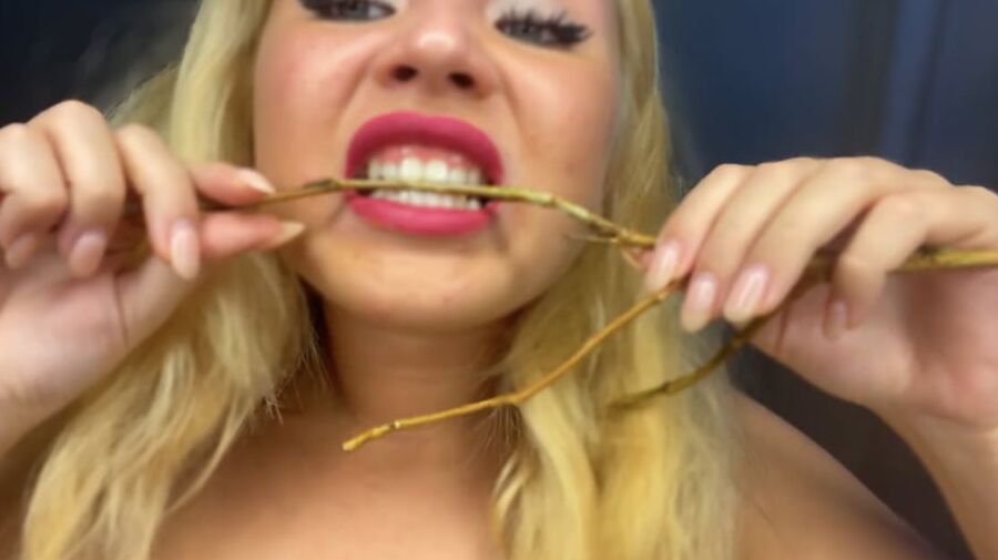 Teeth and biting