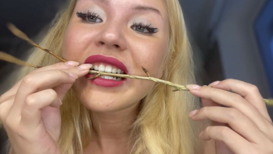 Teeth and biting