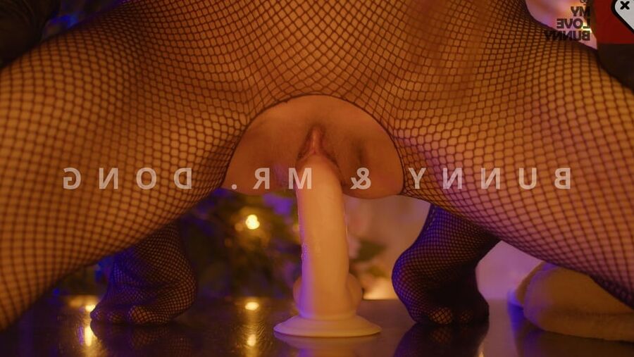 BUNNY & Mr. DONG - MyLoveBunny xx