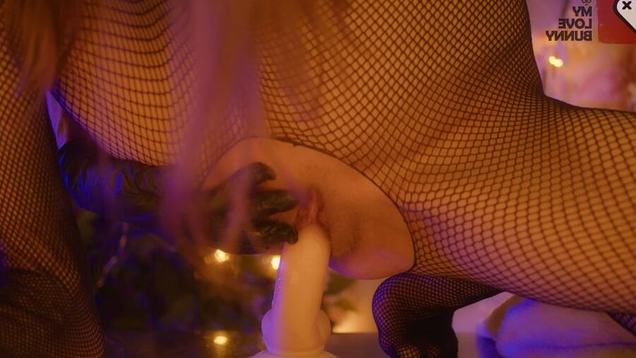 BUNNY & Mr. DONG - MyLoveBunny xx
