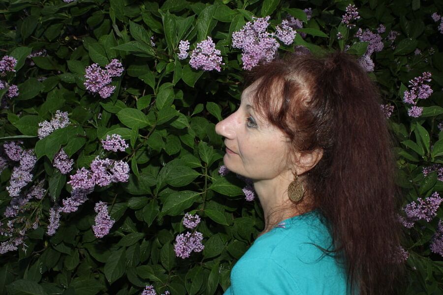 Lilac