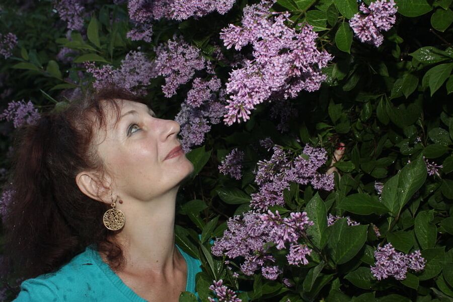Lilac