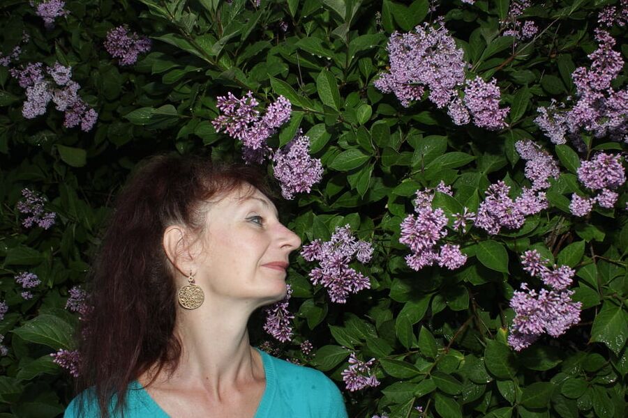 Lilac