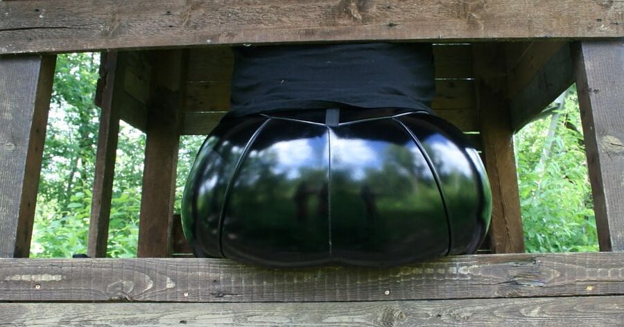 BWB in the woods