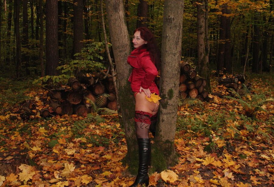 Red Autumn 5