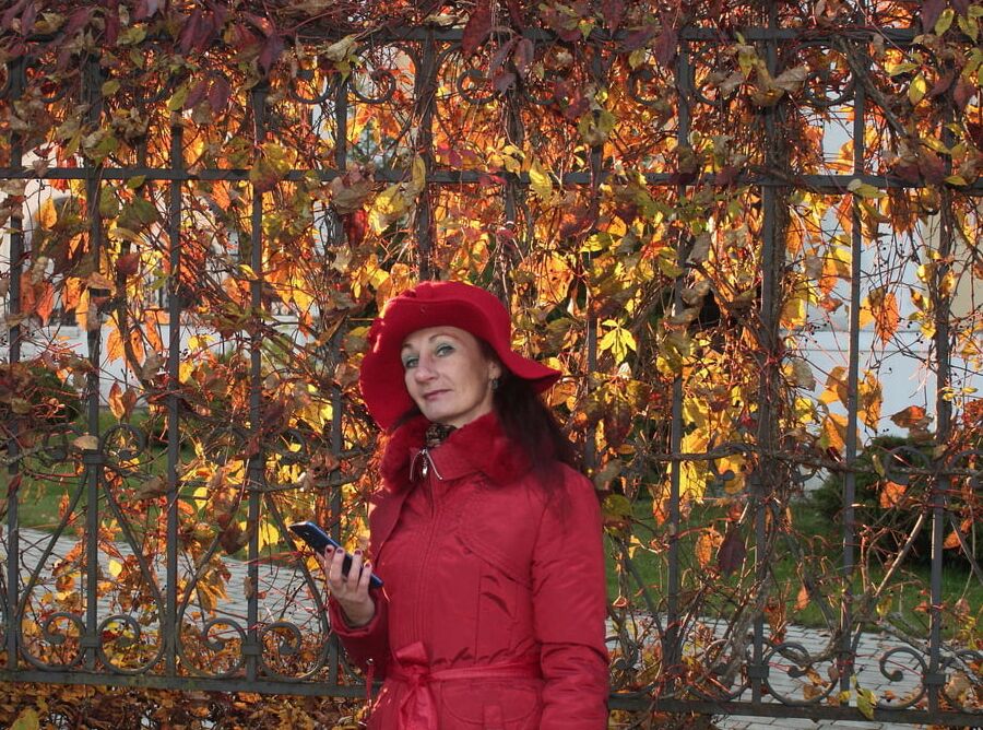 At the Fence