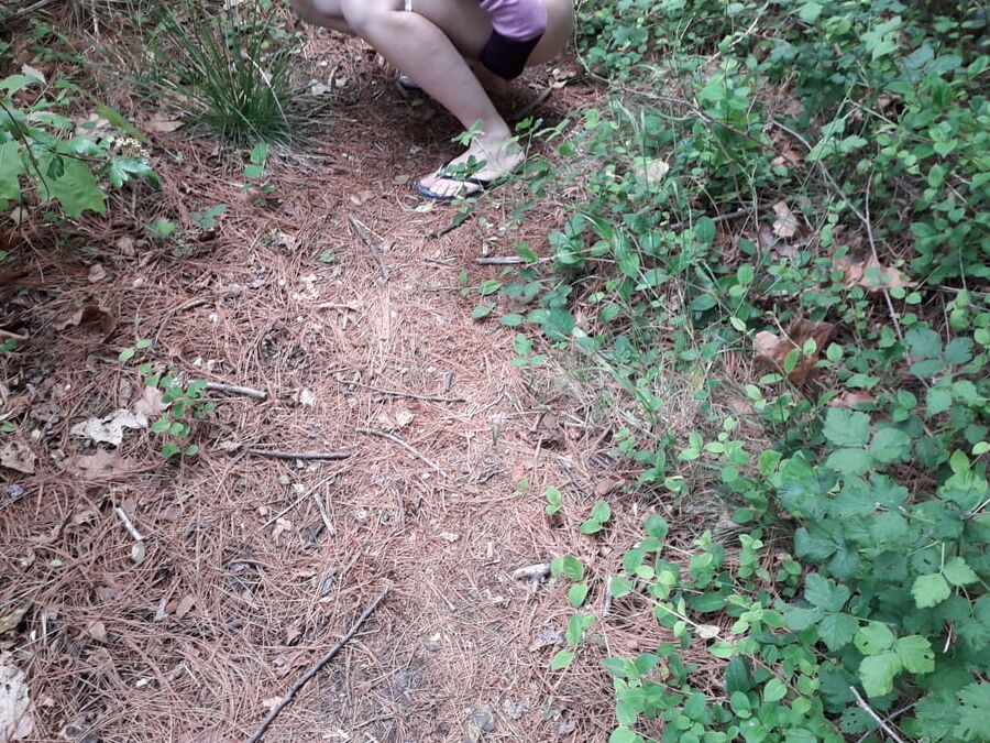 Piss outdoor