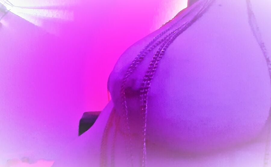 A picture collection of EstefaniaErotica breasts