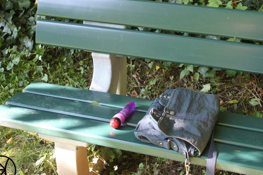 Die Parkbank - The Park Bench