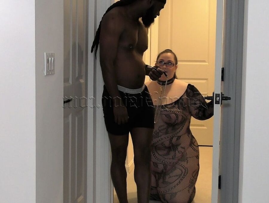 Dogg, the Big Booty Hunter, Vol. 4 - Scene 1