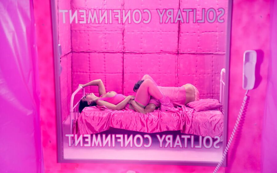 Solitary Pink Confinement at SinfulXXX