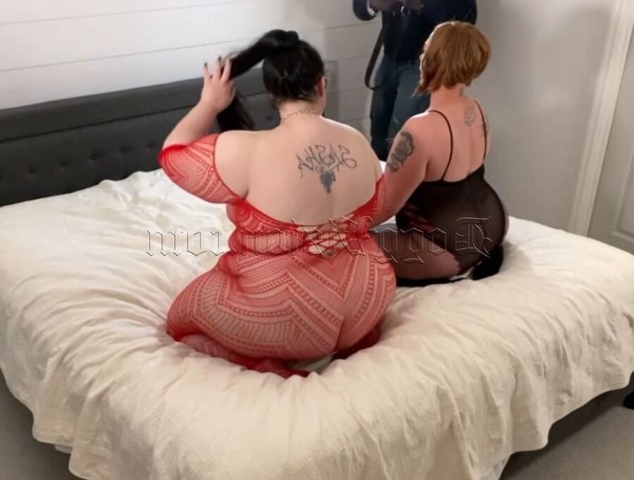 10-22-2021 WEEKLY Video Update to DoggVision VIP Mbrs Area
