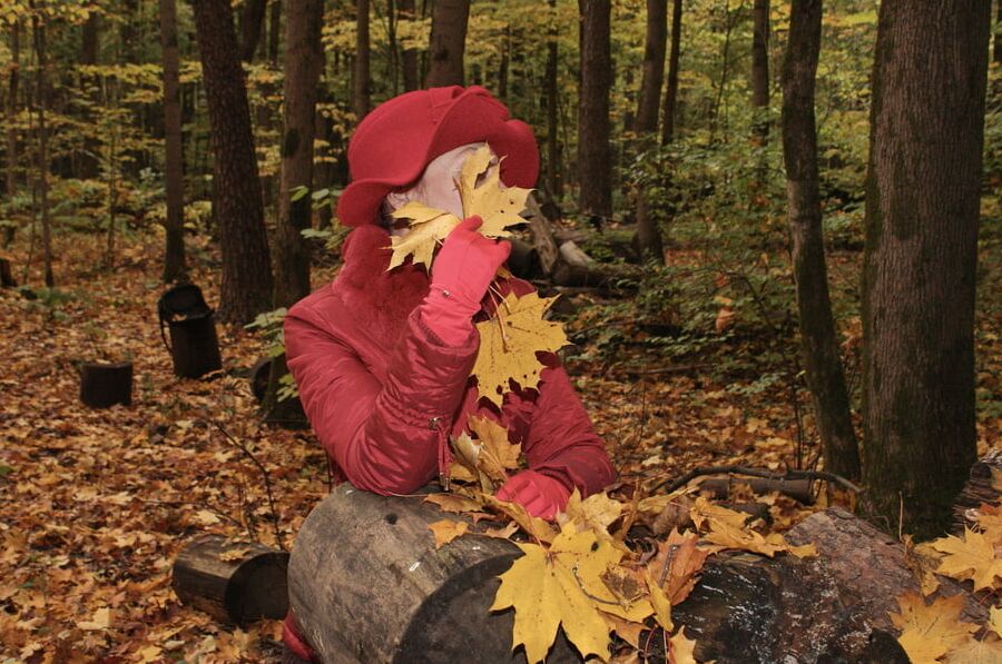 Red Autumn