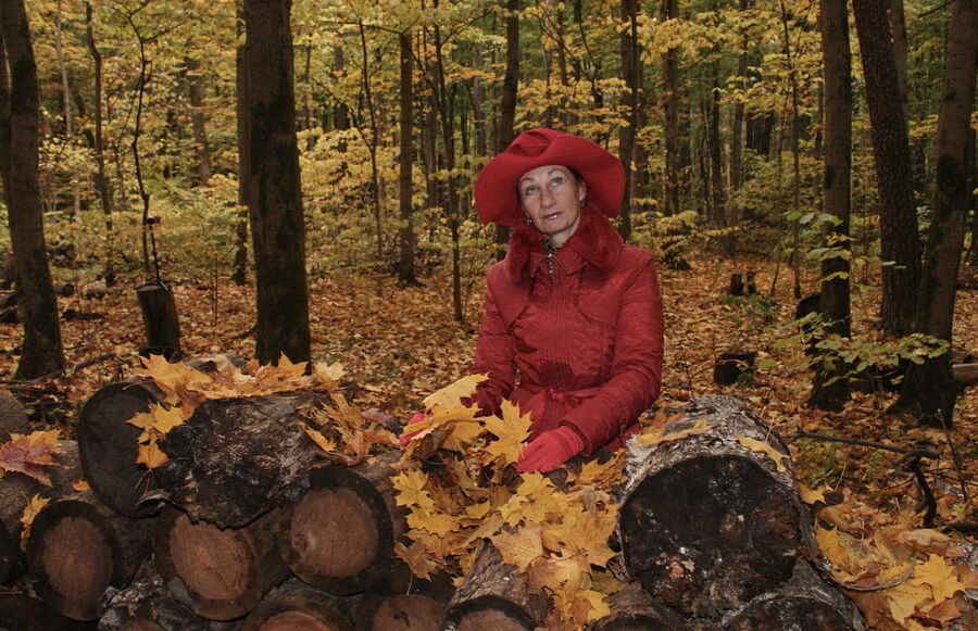 Red Autumn