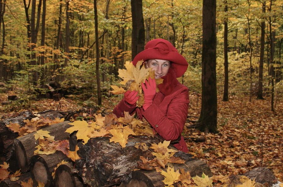 Red Autumn