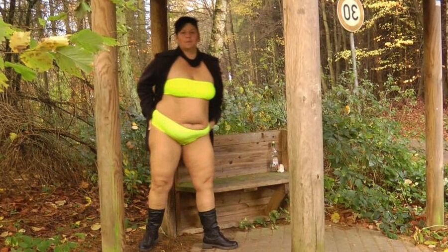 Annadevot - Mishap in the FOREST