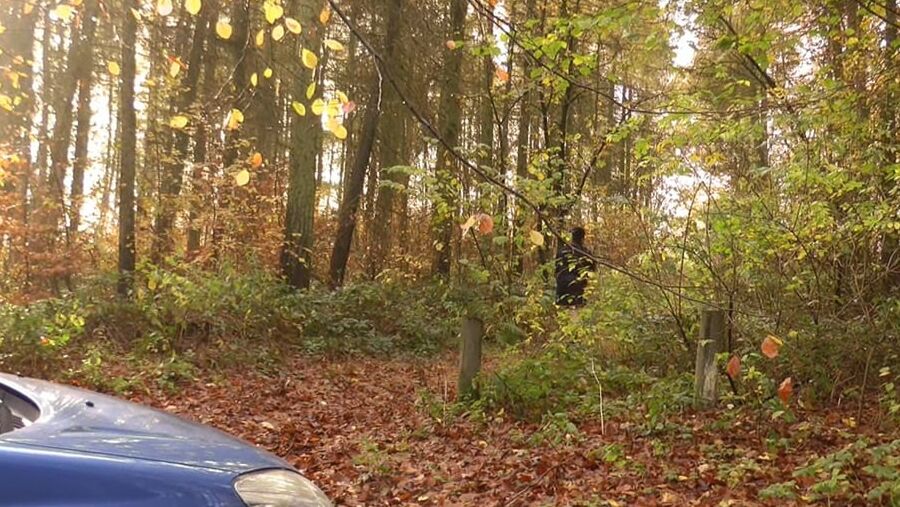 Annadevot - Mishap in the FOREST