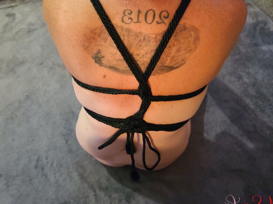 Diamond Chest Harness And Handle Hip Harness