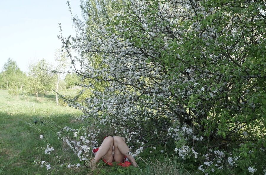 In White Flowers