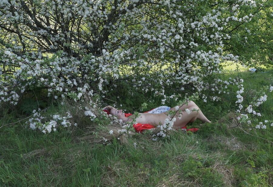 In White Flowers