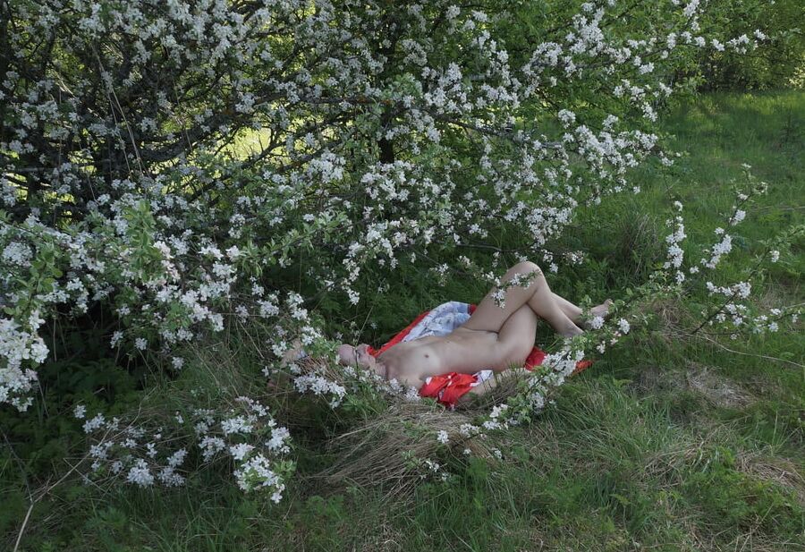 In White Flowers