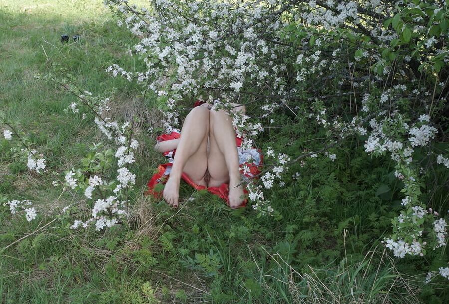 In White Flowers