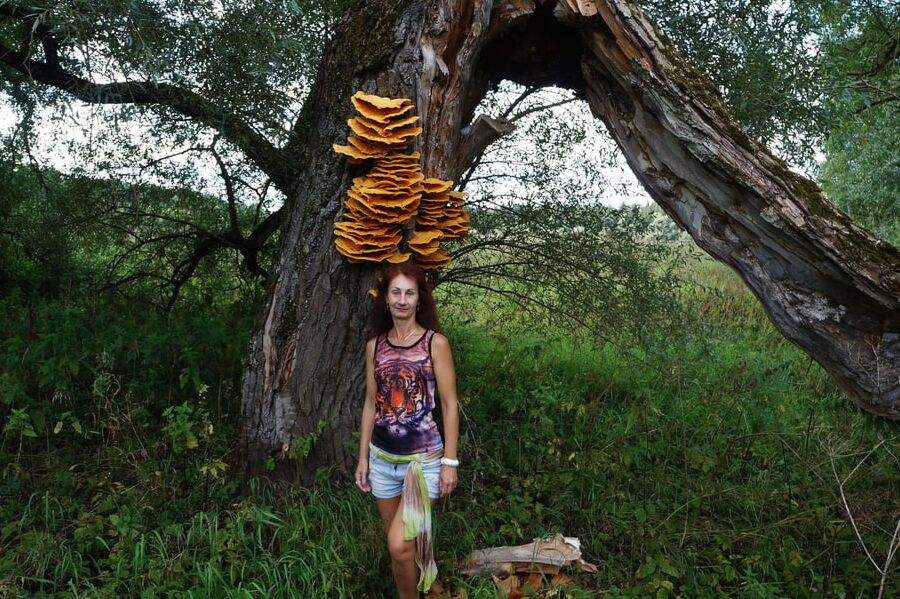 Near Istra river