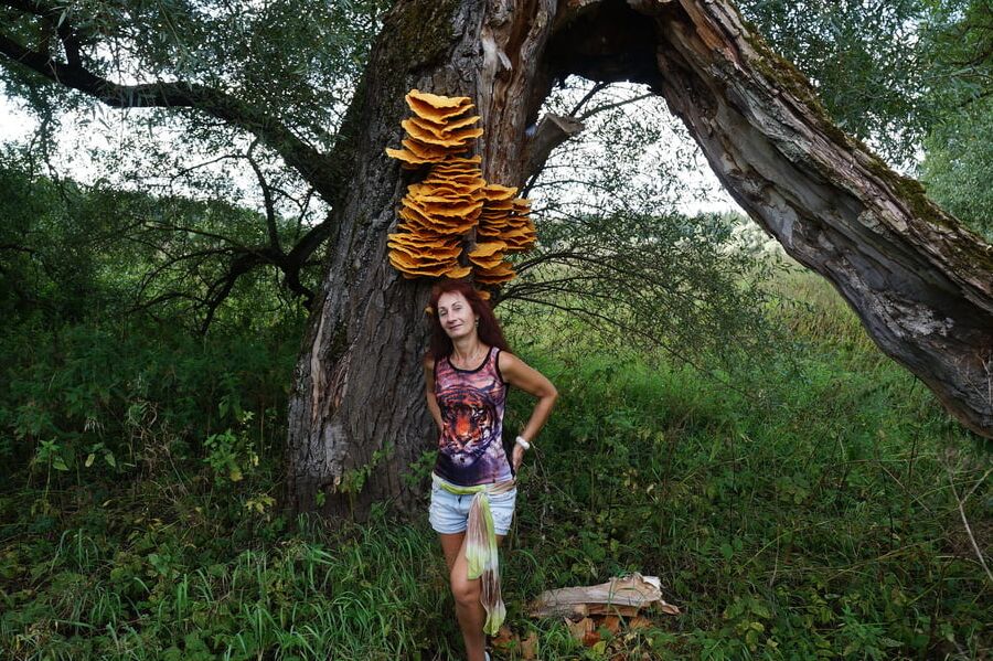 Near Istra river