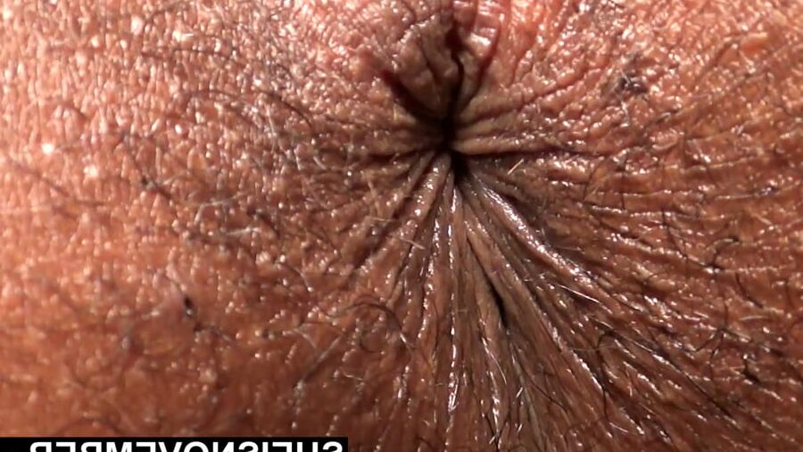 Farting Ebony Hairy Asshole Black Pooting Big Ass Teen Booty
