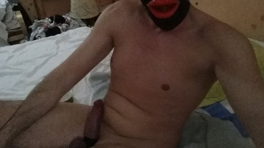 Sein cul chatte