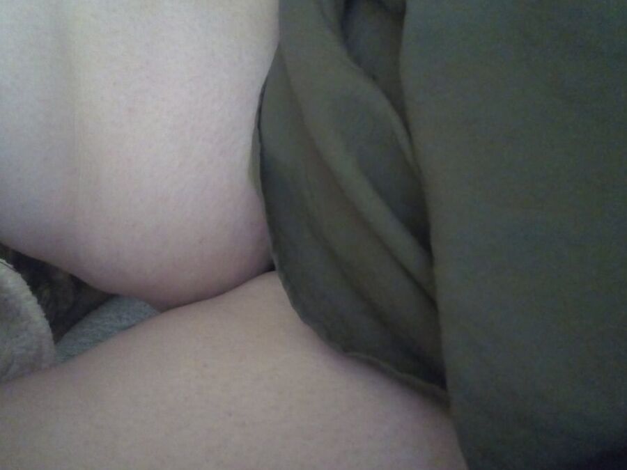 Chatte habillee