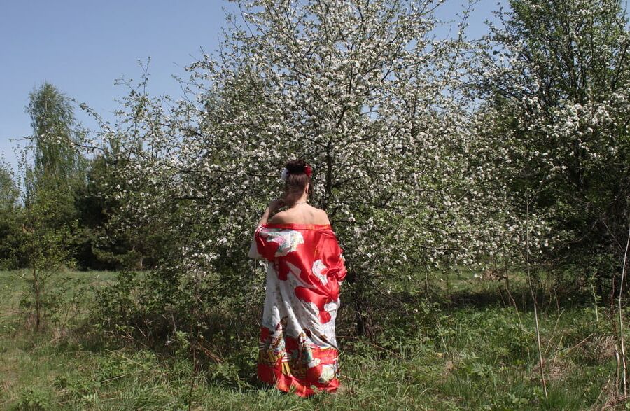 Geisha Style near white flower