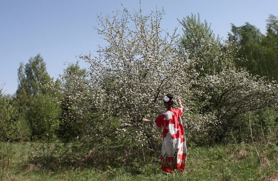 Geisha Style near white flower