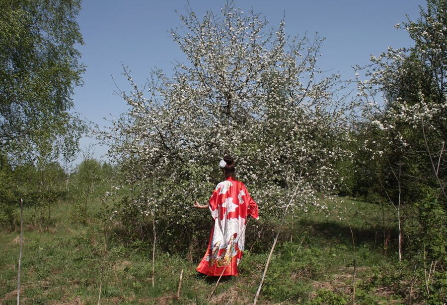 Geisha Style near white flower
