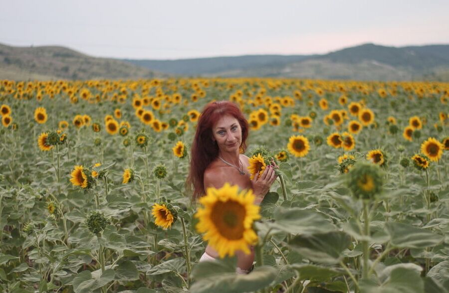 Sunflowers