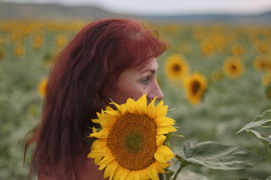 Sunflowers