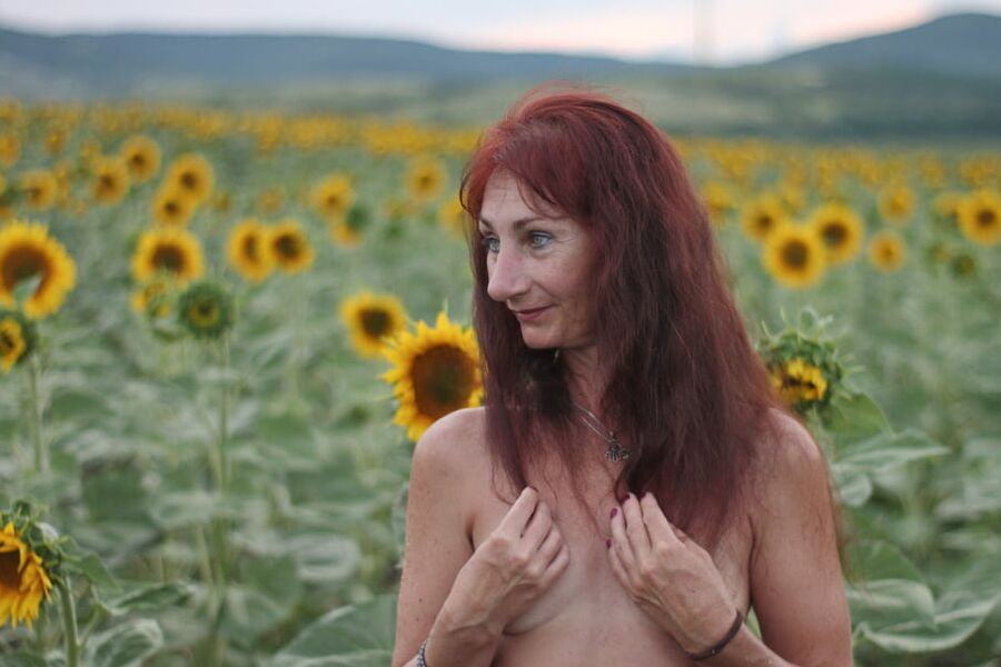 Sunflowers