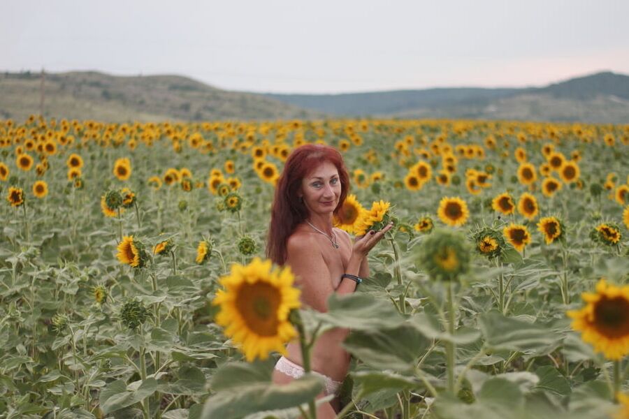 Sunflowers