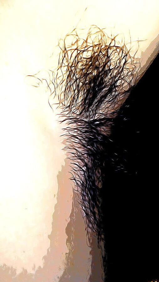 PNW Erotica (Comix Edition)