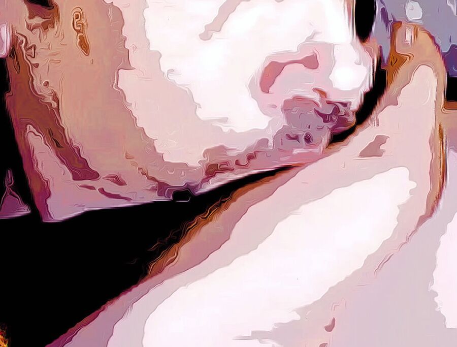 PNW Erotica (Comix Edition)