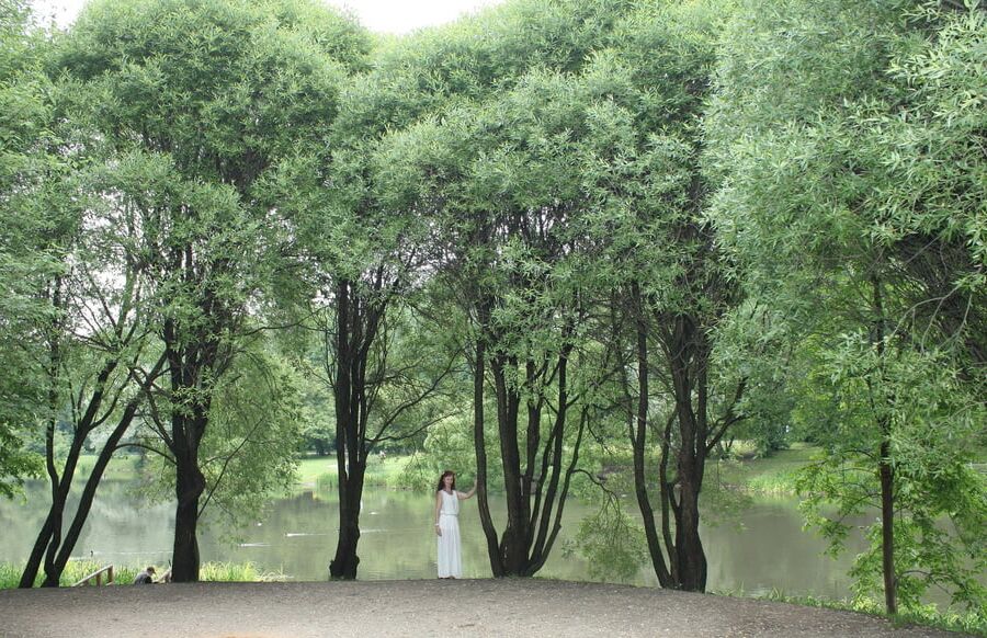 In Ostankino-Park