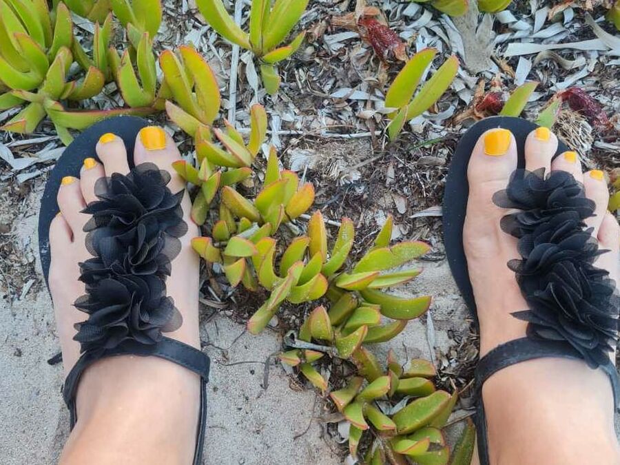 Wife beach feet