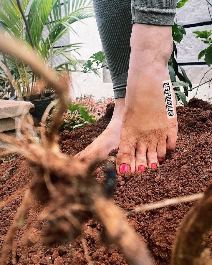 Fuesse Feet