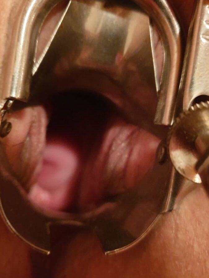 Pussy und klitoris